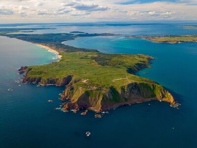 Species - Safe Haven - Phillip Island